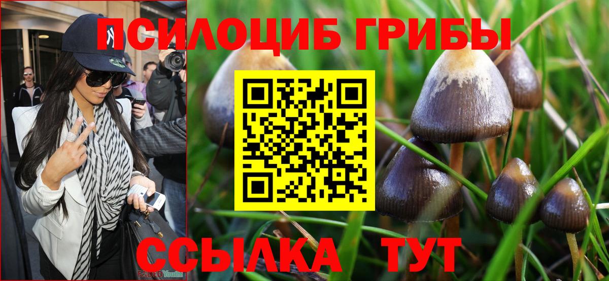 Галлюциногенные грибы MAGIC MUSHROOMS Зеленодольск