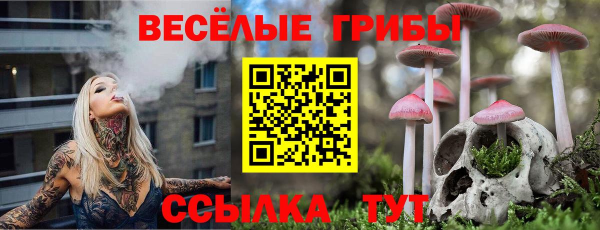 Зеленодольск  Галлюциногенные грибы прущие грибы  Галлюциногенные грибы прущие грибы  Вход с VPN 